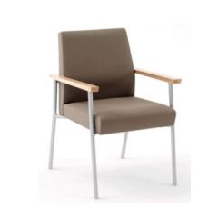 CHAIR GUEST MYSTIC SLVR PWDR-CT FRAME